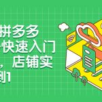 （7876期）海外版拼多多Temu-快速入门实战课，店铺实战从0到1（12节课）