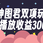 （7870期）神图君双项玩法5w播放收益3000+