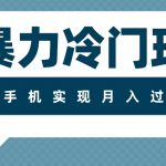 （7856期）超暴力冷门玩法，可长期操作，一部手机实现月入过万