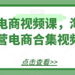 淘系电商视频课，淘宝运营电商合集视频