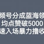 视频号分成蓝海领域，均点赞破5000，速速入场暴力撸收益