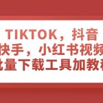 （7714期）TIKTOK，抖音，快手，小红书视频批量下载工具加教程