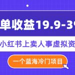 （7701期）一单收益19.9-399，一个蓝海冷门项目，在小红书上卖人事虚拟资料