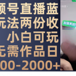 （7635期）视频号直播蓝海玩法两份收益，小白可玩，无需作品日入200-2000+