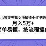 （7604期）丑小鸭变天鹅女神塑造小红书玩法，月入5万+，简单易懂，按流程操作