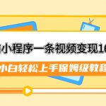 （7595期）靠蓝猫小程序一条视频变现16000+小白轻松上手保姆级教程（附166G资料素材）