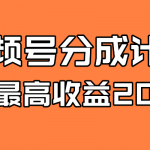 （7557期）全新蓝海 视频号掘金计划 日入2000+