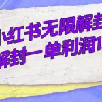 （7514期）外面收费398的小红书无限解封，代解封一单15—30