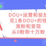 （7475期）DOU+运营和投放，花1条DOU+的钱，涨粉和变现，从0粉到十万粉