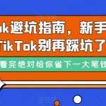 （7460期）TikTok·避坑指南，新手入局Tk别再踩坑了（10节课）