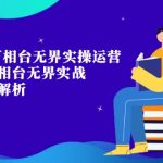 （7459期）淘系·万相台无界实操运营课，万相台·无界实战全案例解析（63节课）