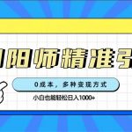 （7431期）0成本阴阳师精准引流，多种变现方式，小白也能轻松日入1000+