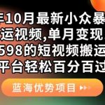 （7399期）外面卖598的10月最新短视频搬运黑科技，各大平台百分百过原创 靠搬运月入1w