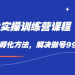 （7354期）百万IP实战训练营课程，完整的IP孵化方法，解决做号99%的问题