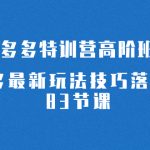 （7295期）2023拼多多·特训营高阶班【9月13日更新】拼多多最新玩法技巧落地实操-83节