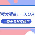 （7278期）国庆蓝海大项目，一天日入7000+，一部手机就可操作