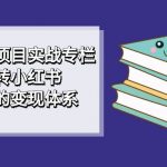 （7252期）小红书虚拟项目实战专栏，带你玩转小红书，打造完善的变现体系