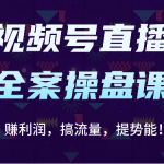 视频号直播全案操盘课：赚利润，搞流量，提势能！（16节课）