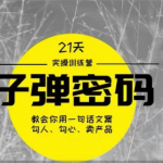 《子弹密码训练营》用一句话文案勾人勾心卖产品，21天学到顶尖文案大师策略和技巧