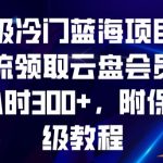 超级冷门蓝海项目，引流领取云盘会员，1小时300+，附保姆级教程