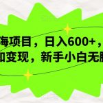 新蓝海项目，日入600+，视频号叠加变现，新手小白无脑操作【揭秘】