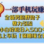 2023全新男粉野路子暴力引流，小白轻松日入500+，全新野路子玩法，0门槛上车玩【保姆级全教程】