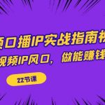 （7202期）短视频口播IP实战指南视频课，踩上短视频IP风口，做能赚钱的生意（22节课）