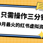 （7191期）一单50-288，一天8单收益500＋小红书虚拟资源变现，视频课程＋实操课＋…