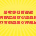 （7189期）某收费社群课程：小红书爆款图文引流教程2.0+小红书单篇图文连爆秘籍