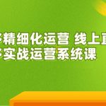 （7151期）2023年8月新课-拼多多精细化运营 线上直播课：拼多多实战运营系统课-42节