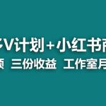 （7099期）【蓝海项目】多多v计划+小红书商单 一个视频三份收益 工作室月入10w打法