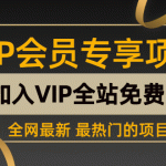 （7089期）0成本！纯利润日入600+，淘宝虚拟项目从0-1全套课程详细实操教学，小白…