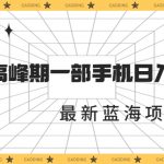 （7087期）最新蓝海项目，一年2次爆发期，高峰期一部手机日入6000+（素材+课程）