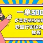 一单轻松300元，仅靠复制粘贴，每天操作一个小时，联盟行销保姆级出单教程，正规长久稳定副业【揭秘】