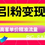 商K引粉变现项目，高客单价精准流量【揭秘】