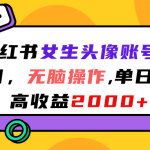 （7036期）小红书女生头像账号项目，无脑操作“”单日最高收益2000+