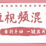 【独家首发】价值几百无敌好用短视频混剪软件，效率翻倍