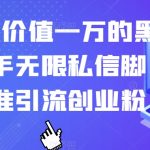 【火爆】价值一万的黑科技快手无限私信脚本，精准引流创业粉