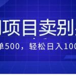 （7015期）卖农村别墅方案的冷门项目最新2.0玩法，一单500+，轻松日入1000+