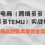 （6989期）跨境电商（跨境多多 海外版多多TEMU）实操教学 从发布商品到售卖发货全流程