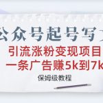 （6987期）公众号起号写文、引流涨粉变现项目，一条广告赚5k到7k，保姆级教程