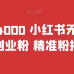 （6982期）首发价值4000 小红书无限艾特暴力引流创业粉 精准粉揭秘教程