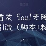 全网首发 Soul无限曝光精准引流（脚本+教程）