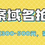 【全网首发】备案域名抢注，一单利润300-500元，需求量大