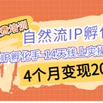 （6924期）某社群收费培训：自然流IP 孵化手-14天线上实操训练营 4个月变现200w