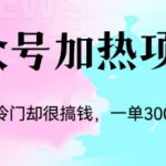 （6916期）冷门公众号加热项目，一单利润300+