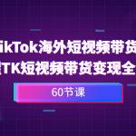 （6890期）2023-TikTok海外短视频带货特训营，掌握TK短视频带货变现全流程（60节课）