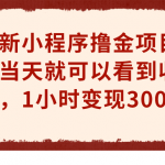 （6885期）最新小程序撸金项目，当天就可以看到收益，1小时变现300+