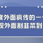 （6878期）百度外面疯传的一个无限提现外面割韭菜到了980