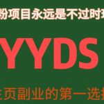 YYDS男粉项目永远是不过时玩法，主业副业的第一选择【揭秘】